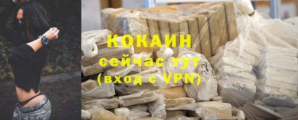 бошки Пересвет