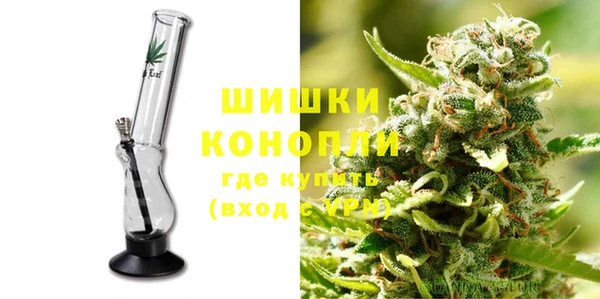 сатива Абдулино